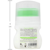 رول دئودورانت سینره مدل Citrus Lime حجم 50 میلی لیتر
